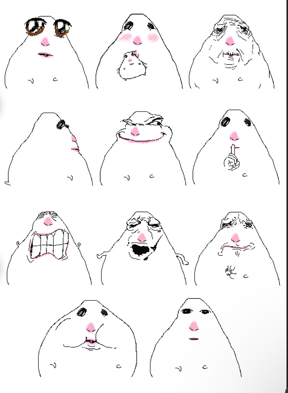 Almarts Store – Alma Arts Official Hamster Shop
